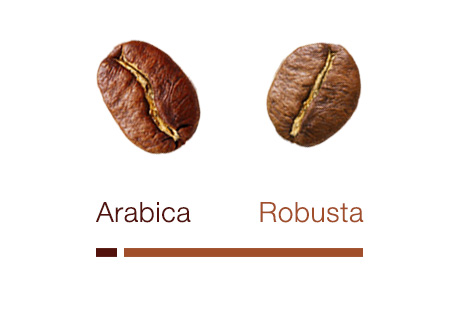 miscela BarbaNera - gusto 'Forte'