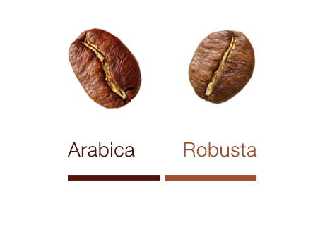 miscela BarbaNera - gusto 'Morbido'