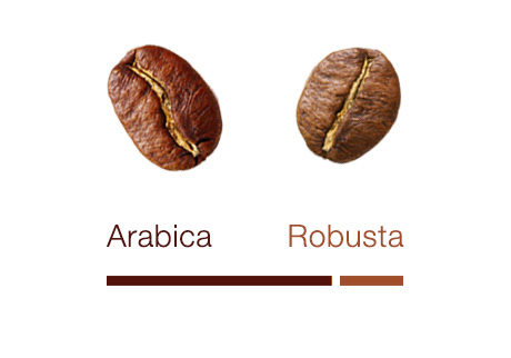 miscela BarbaNera - gusto 'Vellutato'